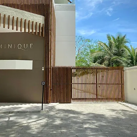 Stay Q Dominique-2